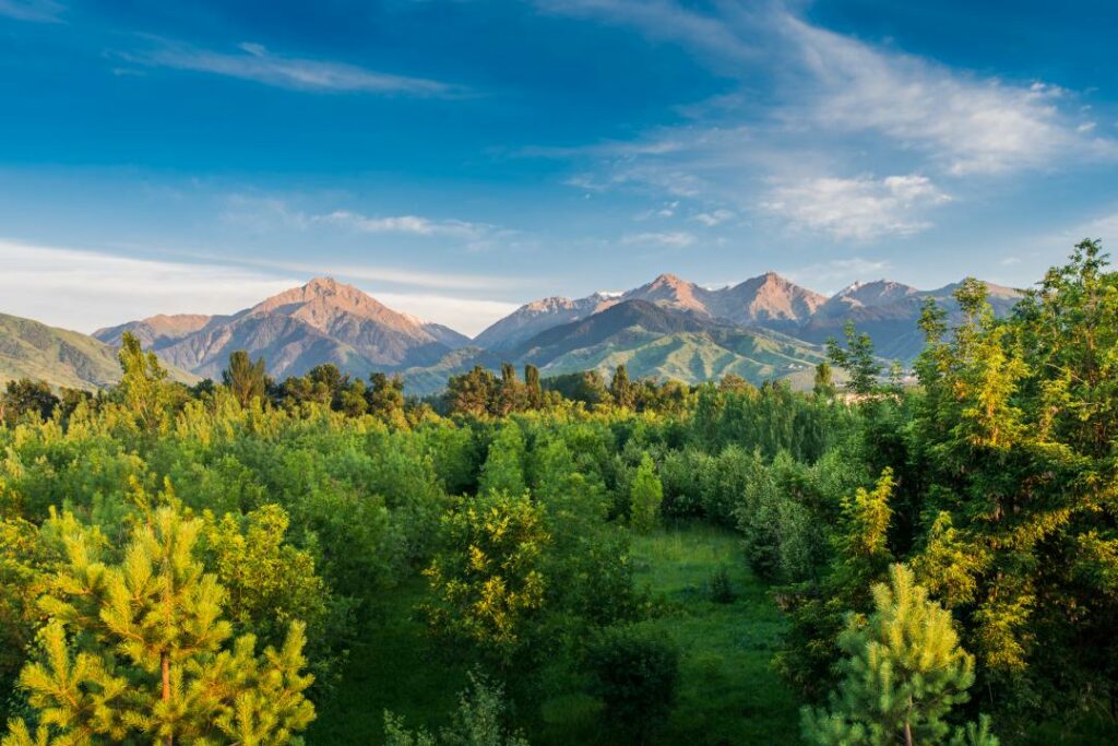 Фото: shutterstock.com