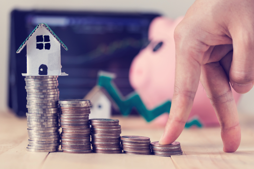 Фото: Shutterstock.com / 1989studio