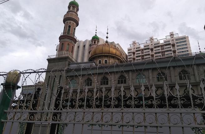 Фото: albawaba.com / Joanne Smith Finley