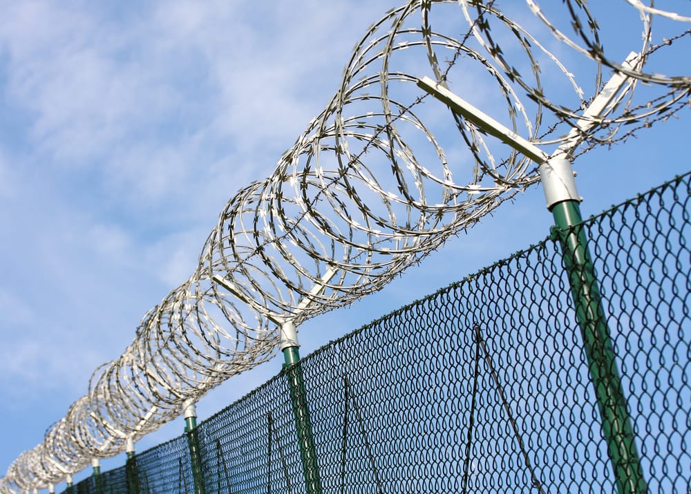 Фото: Shutterstock