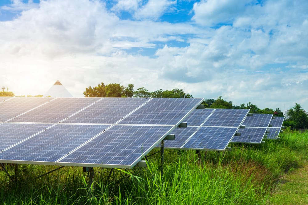 Фото: Shutterstock.com / Tinapob Proongsak