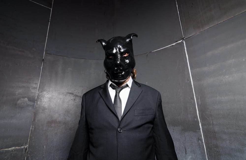 Фото: Shutterstock.com