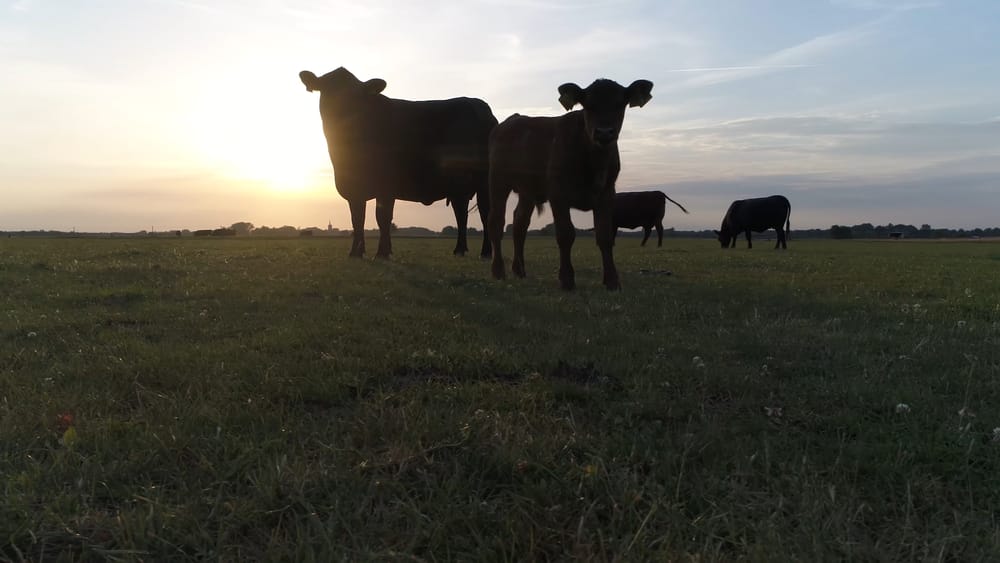 Фото: Shutterstock