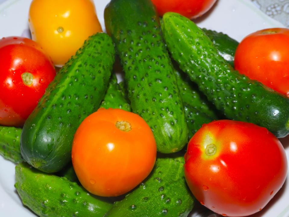 Фото: Shutterstock