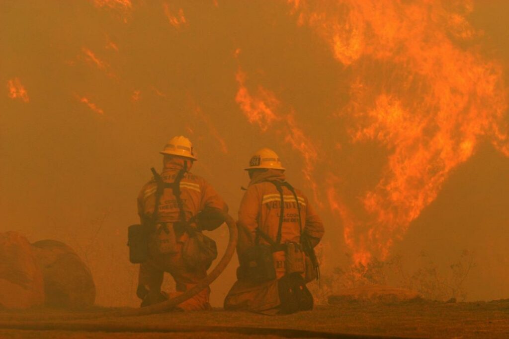 Фото: Krista Kennell / Shutterstock.com