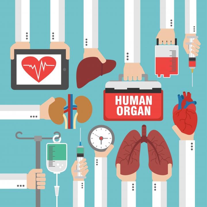 Фото: shutterstock.com