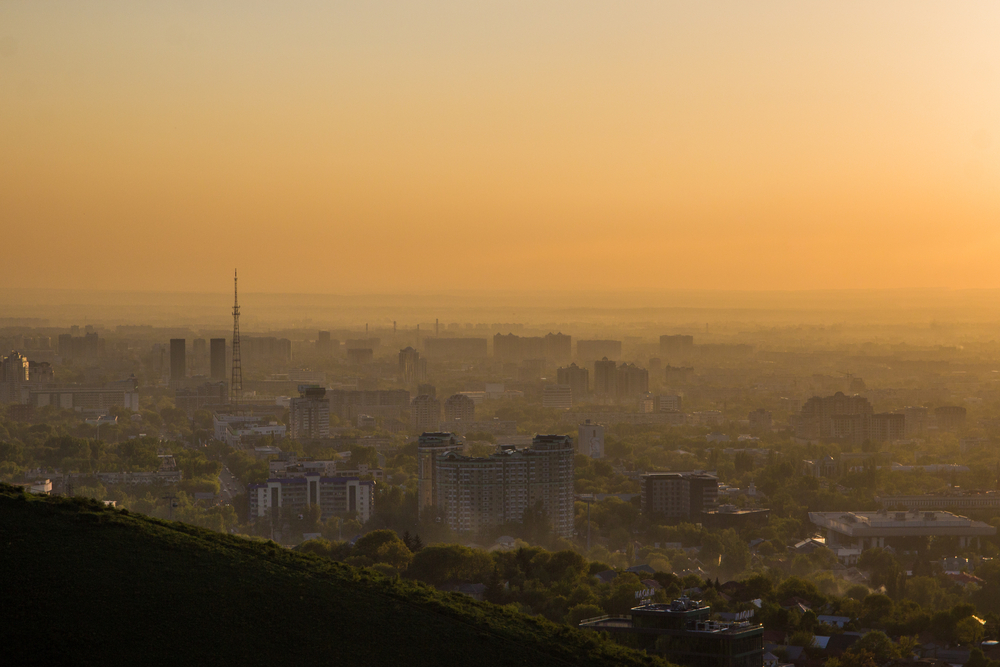 Фото: Shutterstock.com