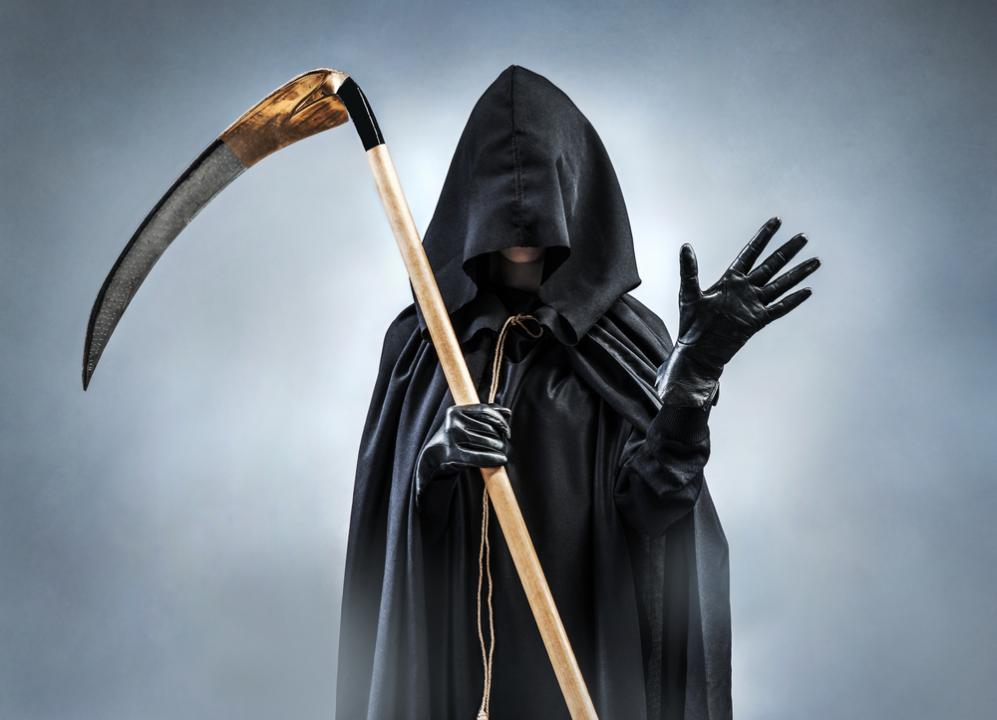 фото: Shutterstock.com