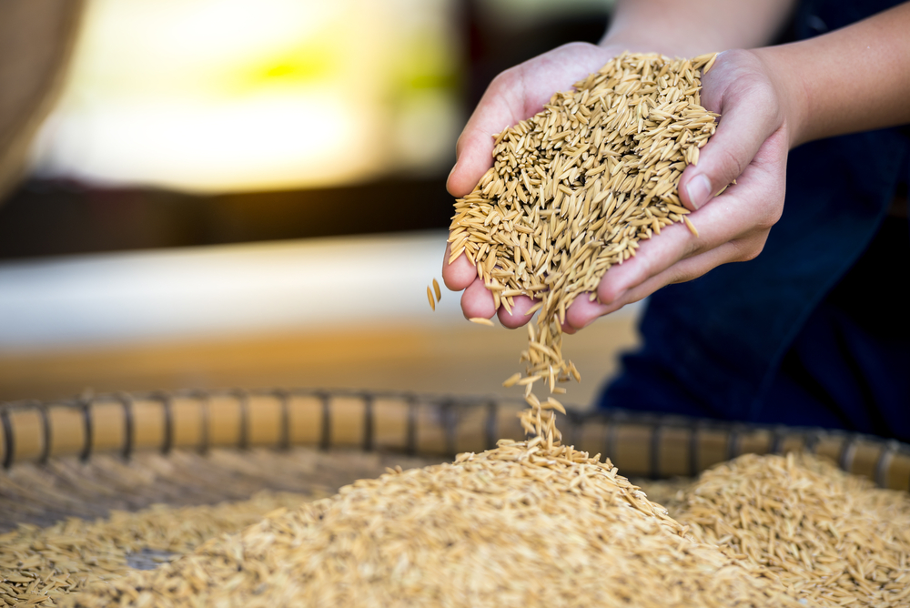 Фото: Shutterstock