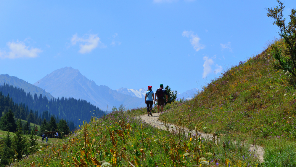 Фото: Shutterstock