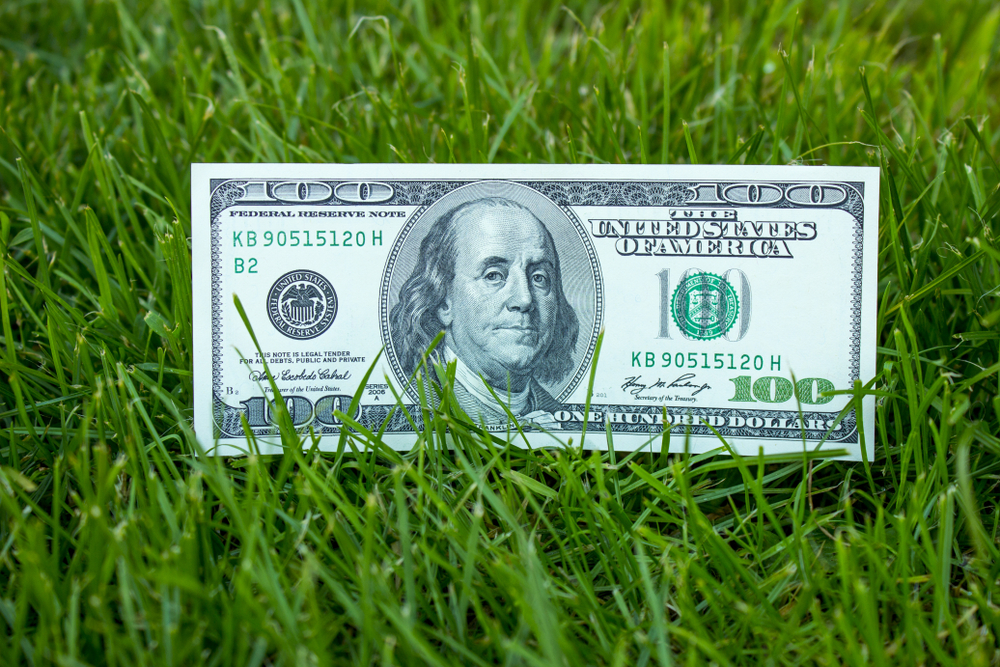 Фото: Shutterstock.com