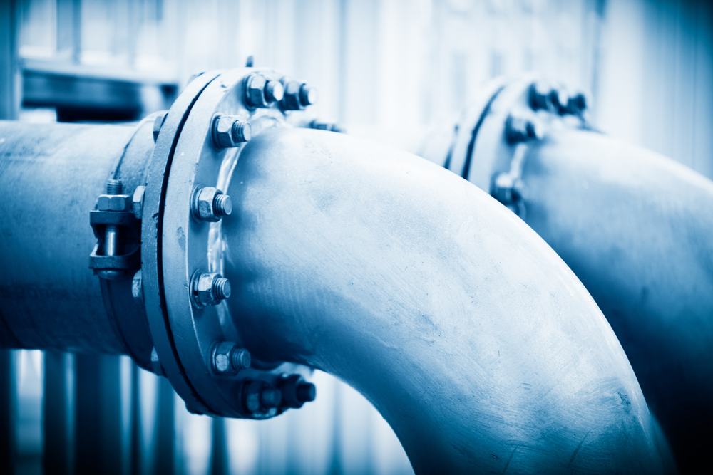 Фото: Shutterstock