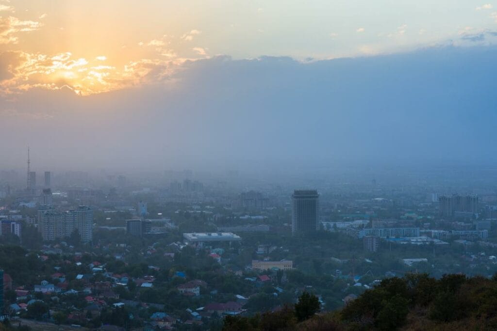 Фото: shutterstock.com