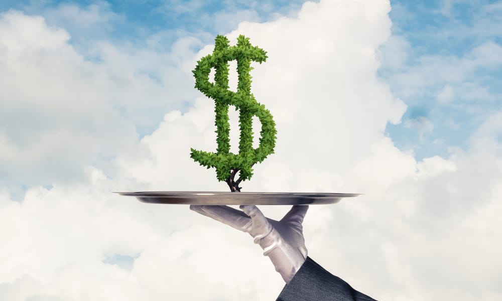 Фото: Shutterstock.com