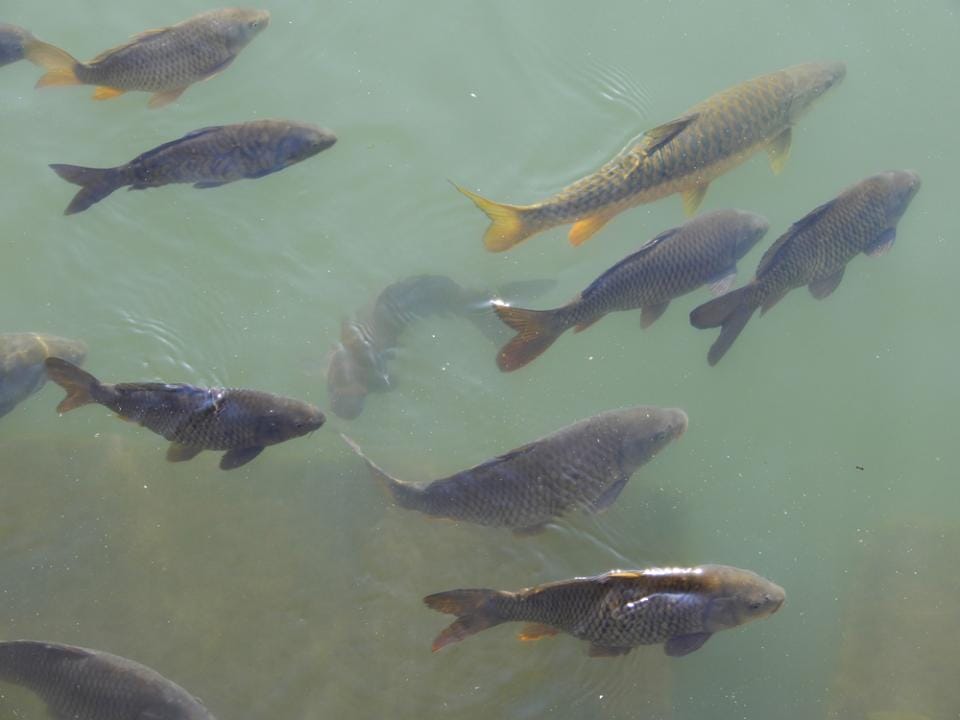 Фото: Shutterstock