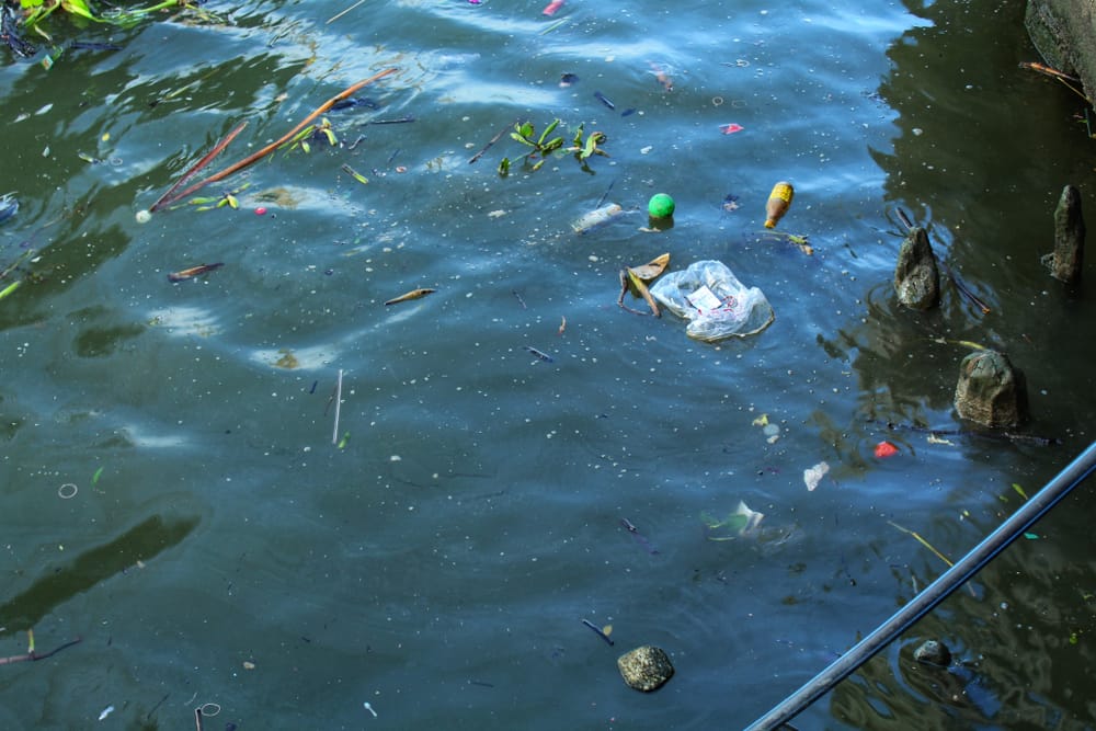 Фото: Shutterstock