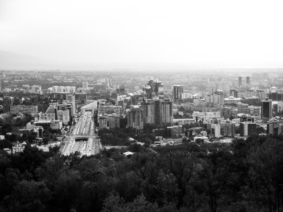 Фото: shutterstock.com