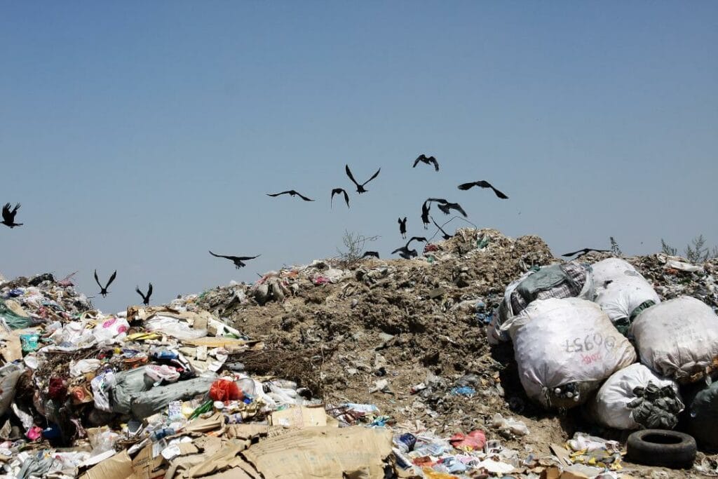 Фото: Олег Спивак