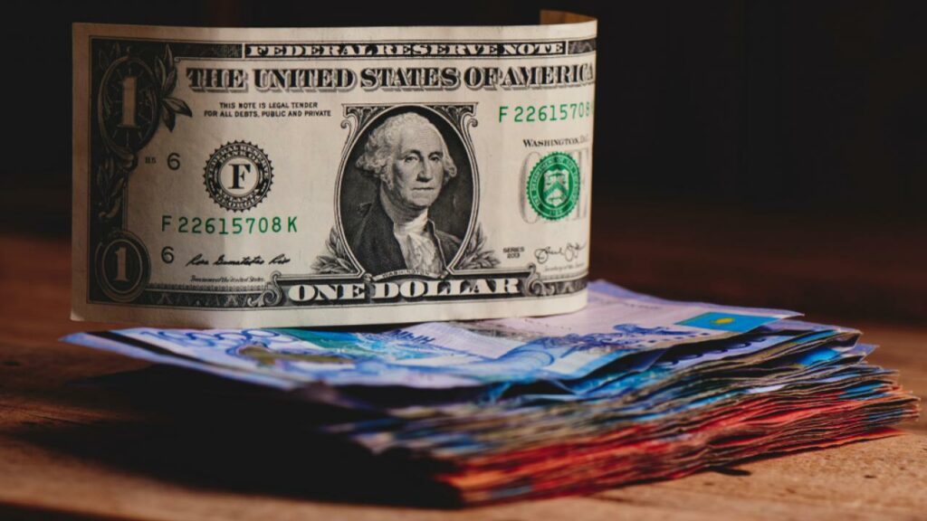 Фото: Shutterstock.com