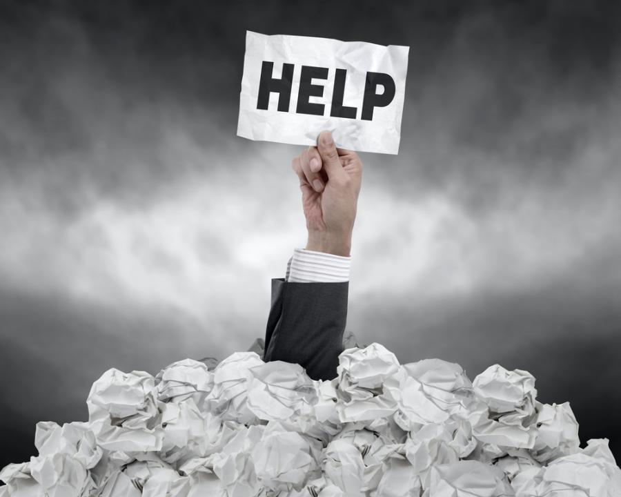 Фото: shutterstock.com