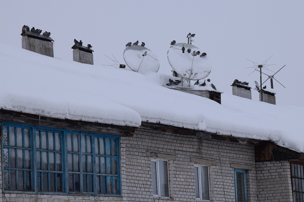 Фото: Автора