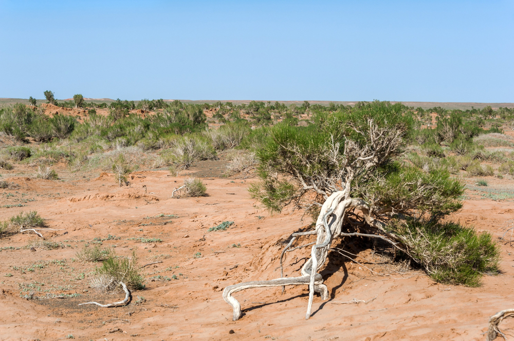 Фото: Shutterstock