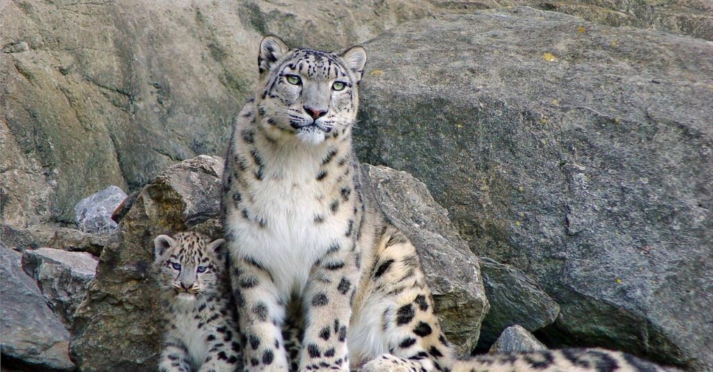 Фото: из открытых источников