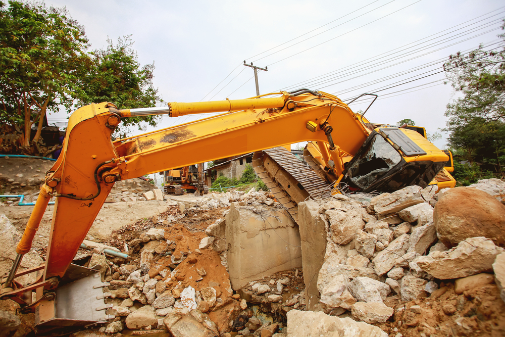 Фото: Shutterstock