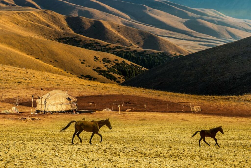 Фото: shutterstock.com