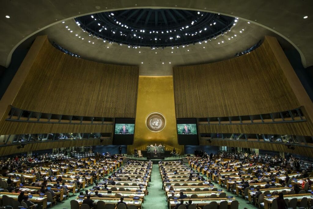 Фото: Drop of Light / Shutterstock.com