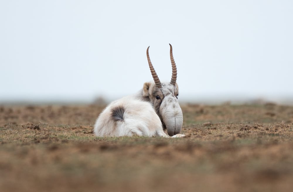 Фото: Shutterstock