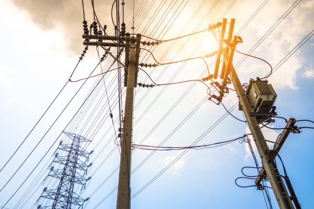 Фото: Shutterstock