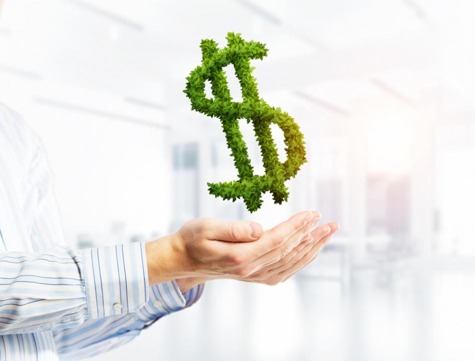 Фото: Shutterstock.com