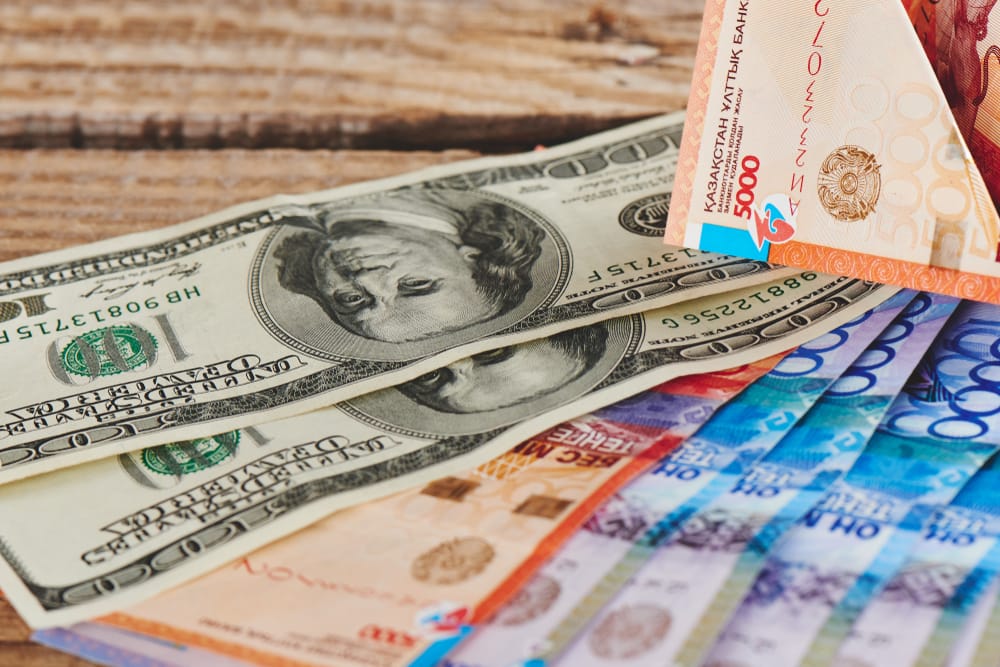 Фото: Shutterstock.com