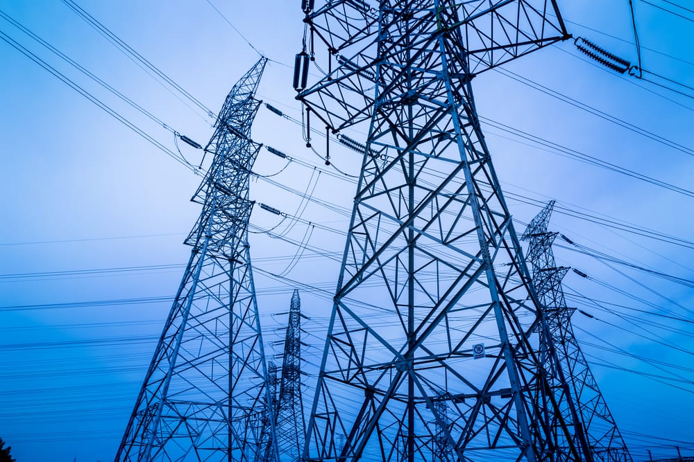 Фото: Shutterstock