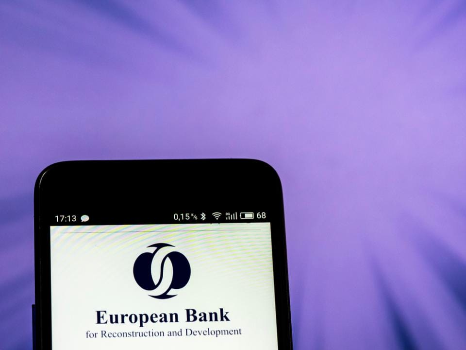 Фото: IgorGolovniov / Shutterstock.com