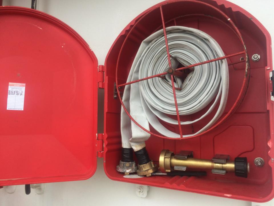 Фото: Shutterstock.com