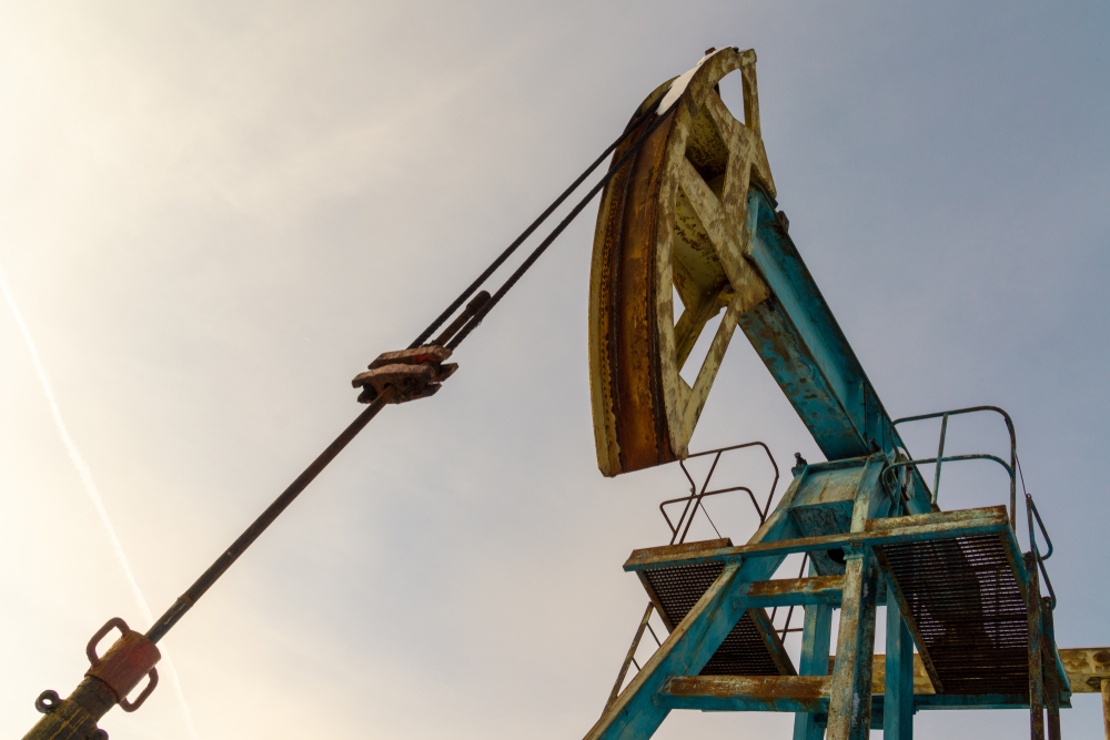 Фото: Shutterstock