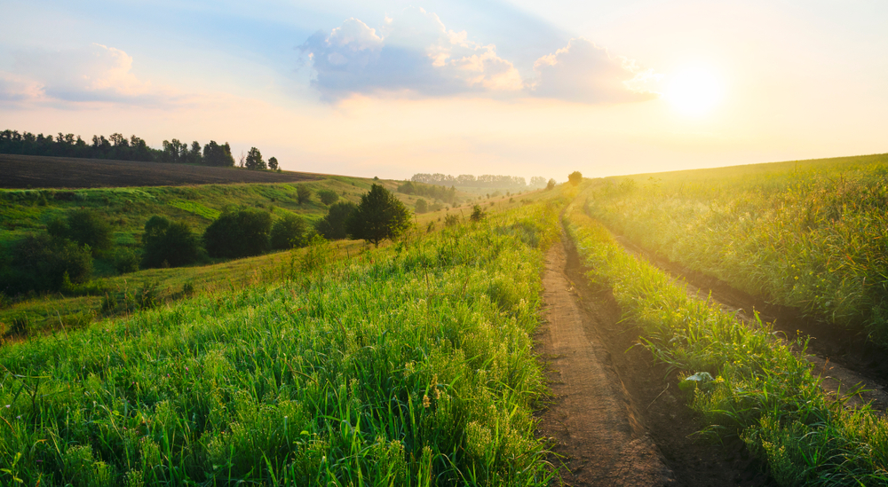 фото: shutterstock.com