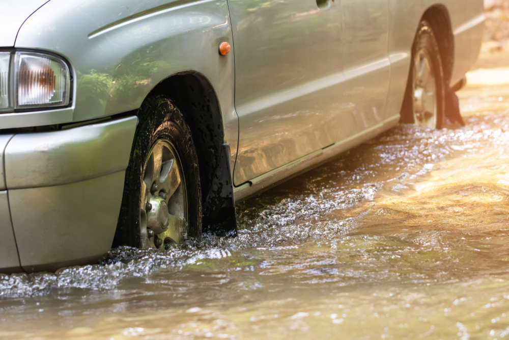 Фото: Shutterstock