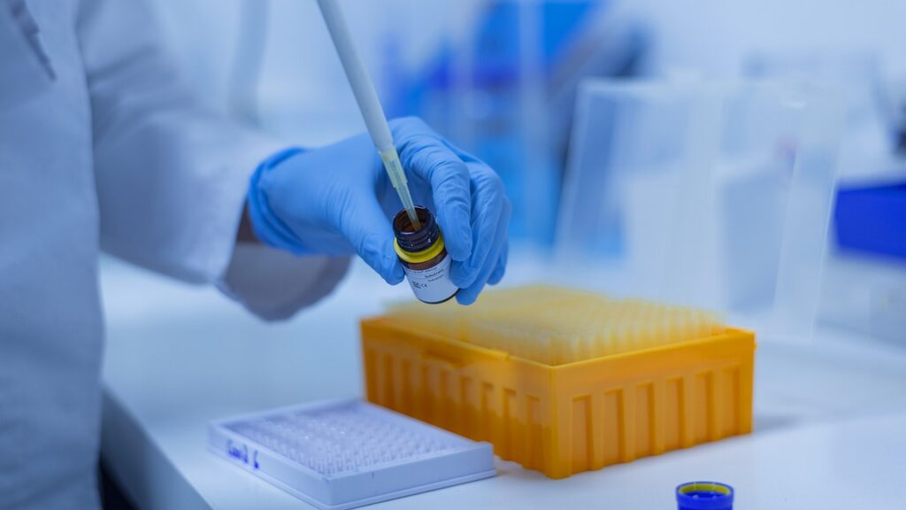 Фото: Pixabay.com