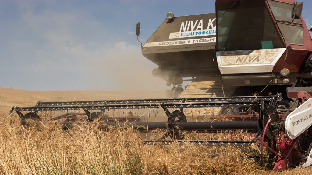 Фото: Офелия Жакаева