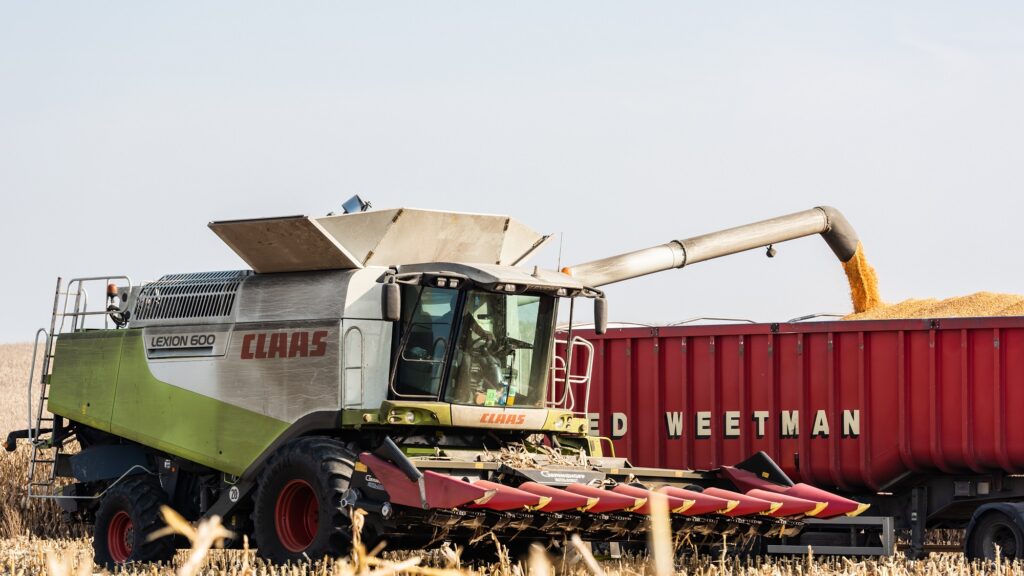 Фото: Depositphotos