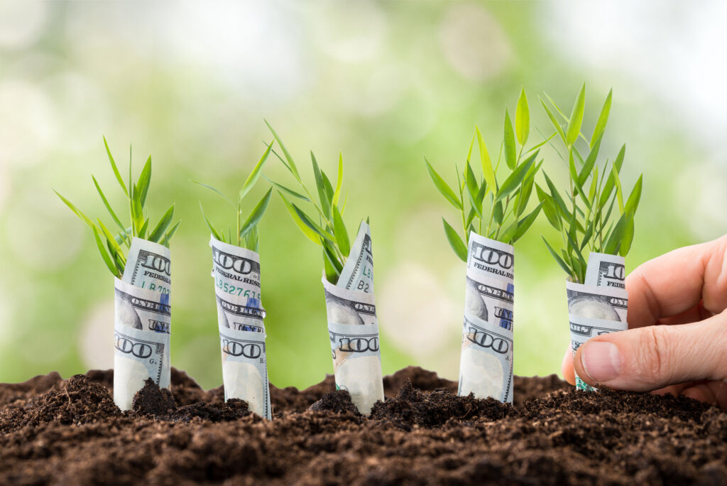 Close-up Of Person's Hand Planting Saplings Covered With American Dollars
