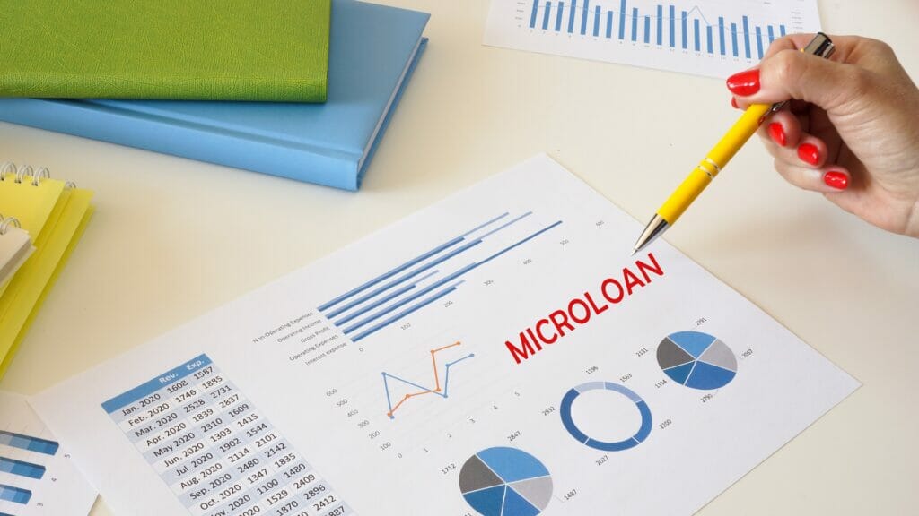 Government promotes cheap loans in rural areas in Kazakhstan