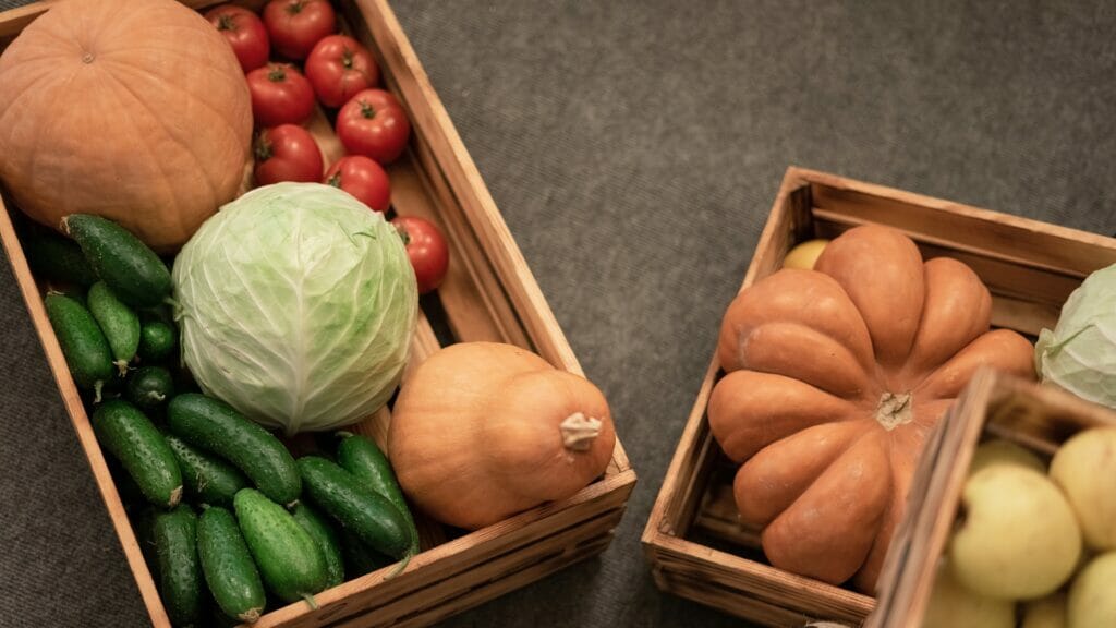 Офелия Жакаева