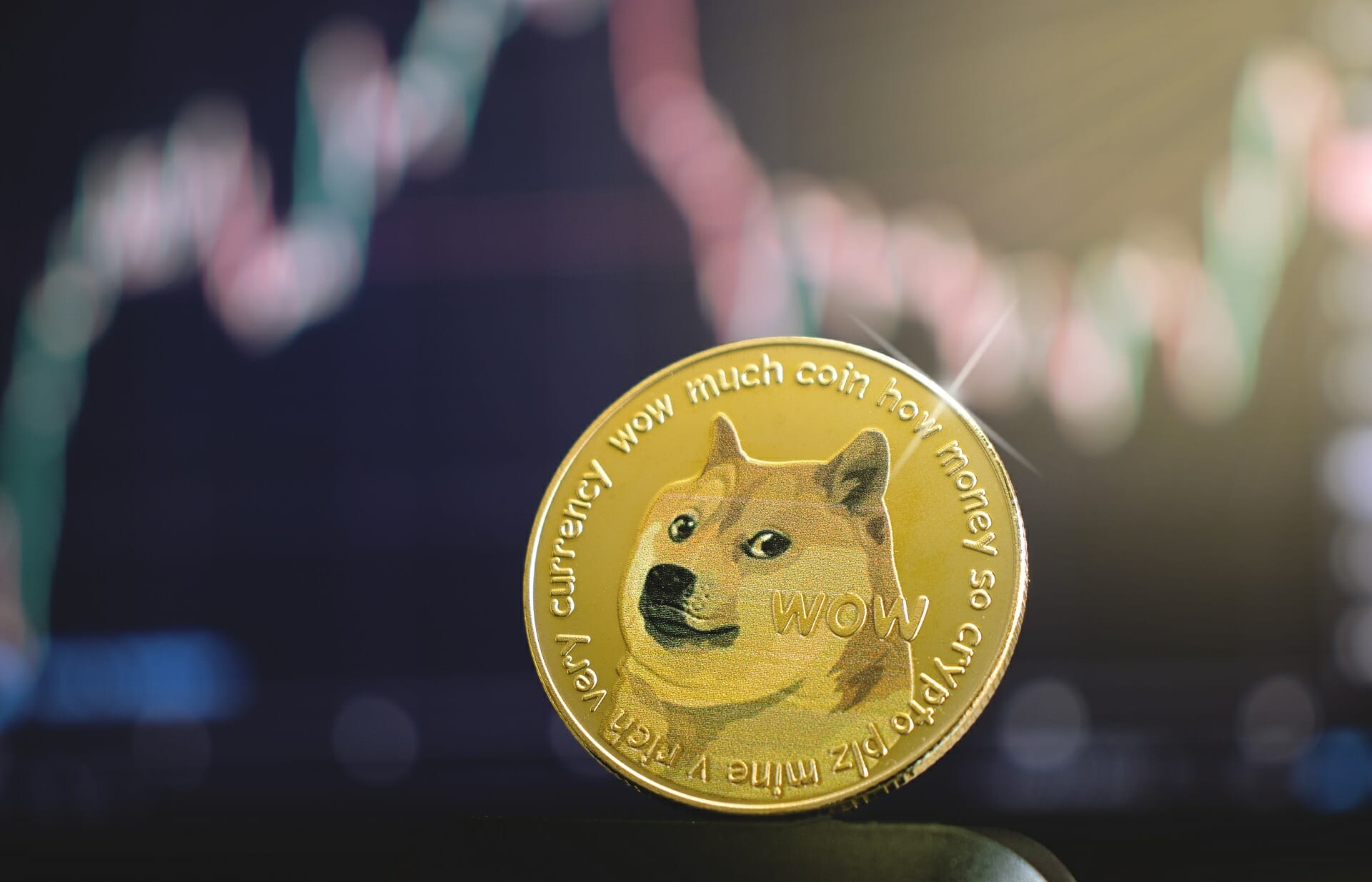 Doge Coin