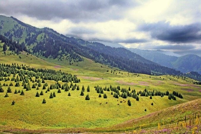 иле-алатау