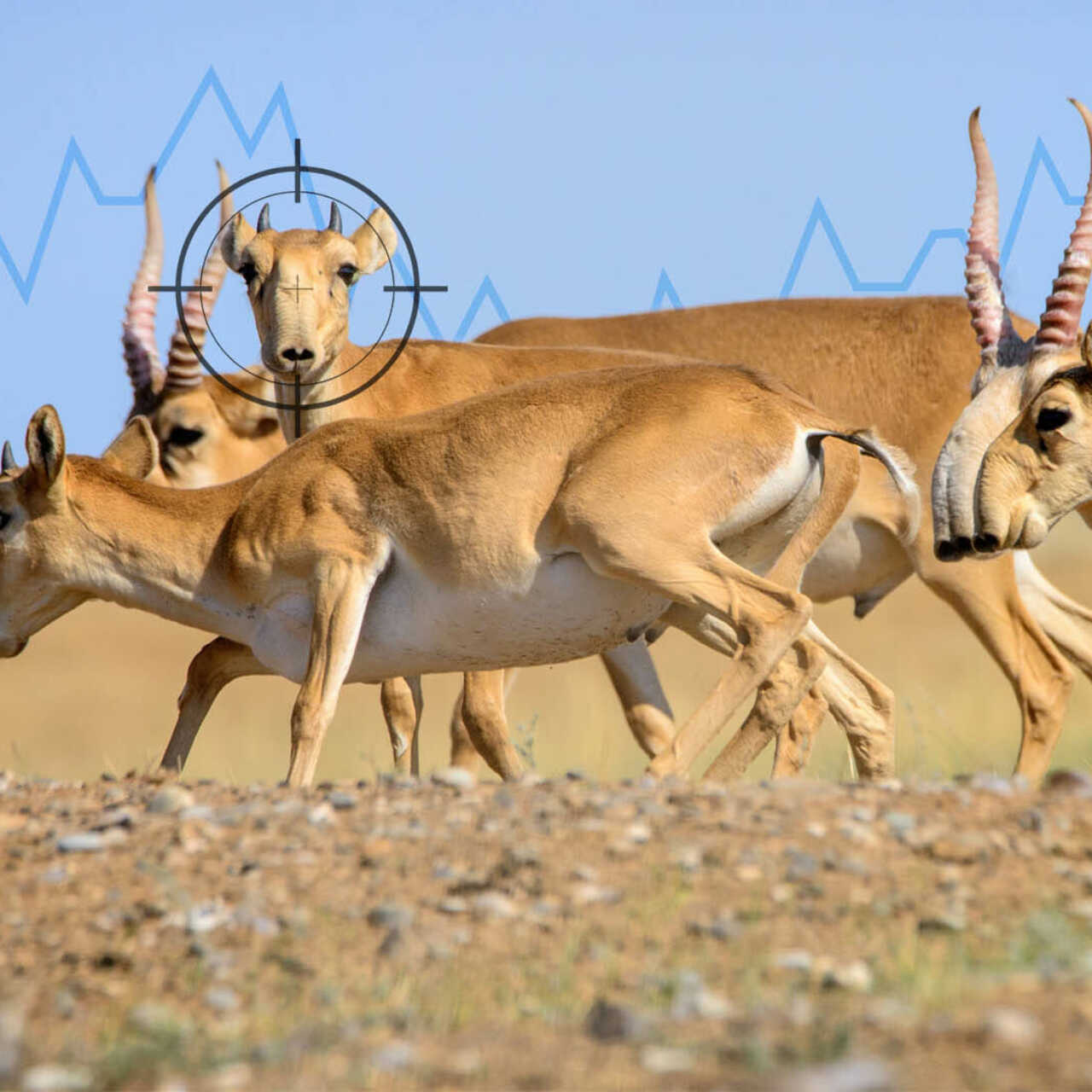 Азия жопы порно