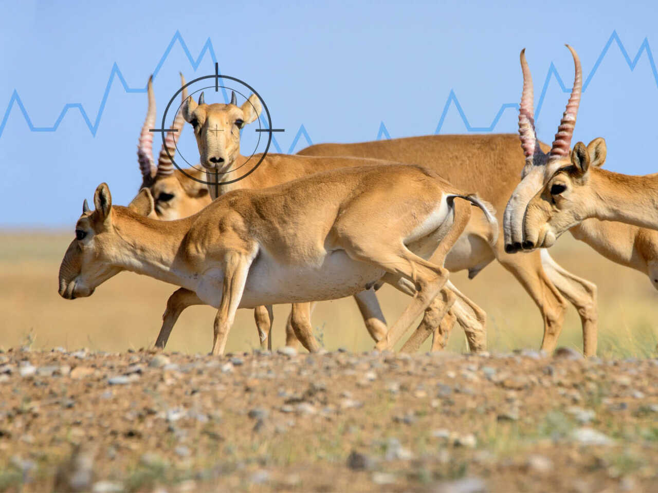 Бір шұлықпен секс суреті